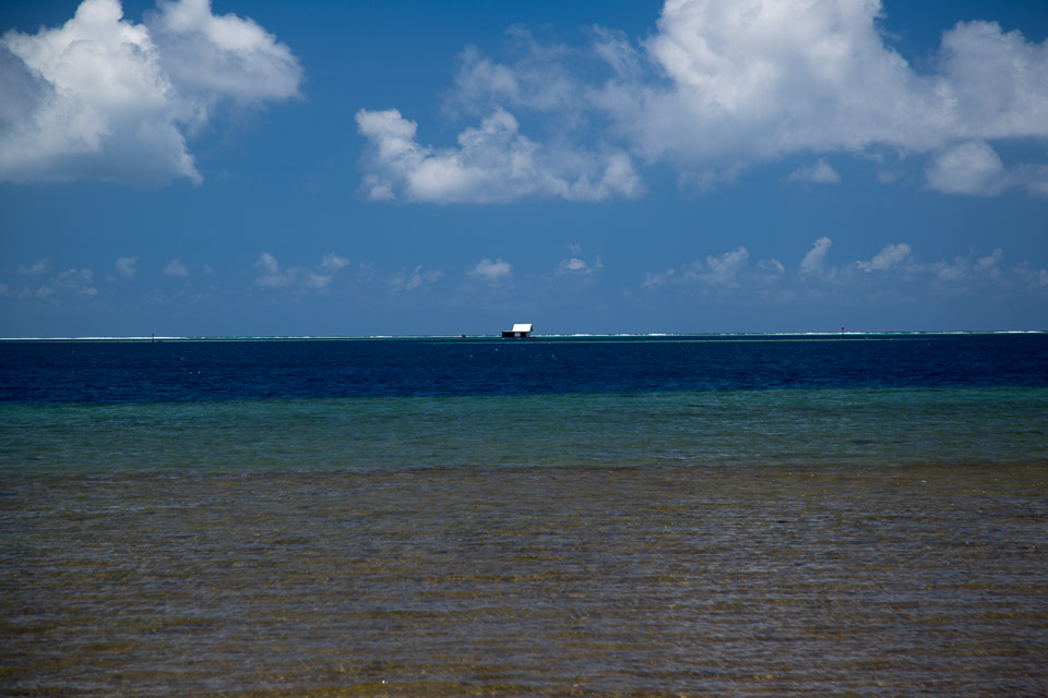 3L9A6074.jpg Iles sous le vent - Raiatea - Copyright : See Otherwise 2012 - 2025